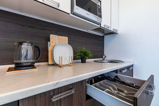 Холодильник, стиральная машина, микроволновка, плита, чайник, ТВ, фен, утюг, Wi-Fi